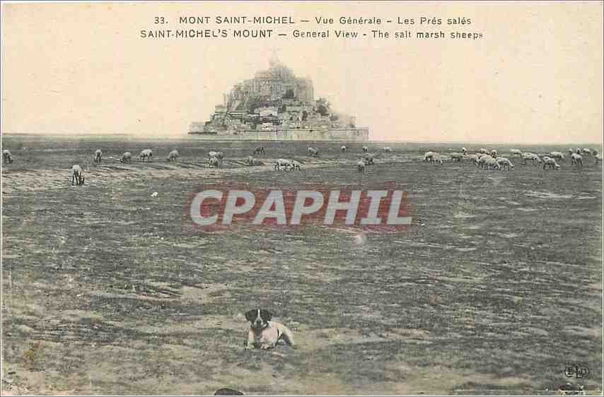 CPA Mont Saint Michel Vue generale Les Pres Sales Chien Moutons