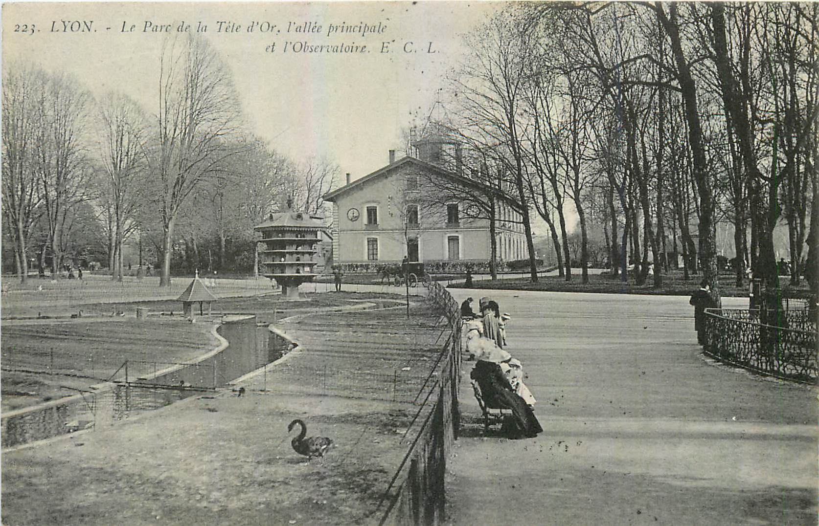 CPA Lyon Le Parc de la Tete d'Or l'allee principale et l'Observatoire 