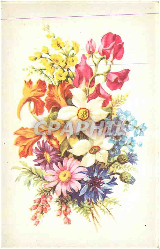 CPA Fleurs