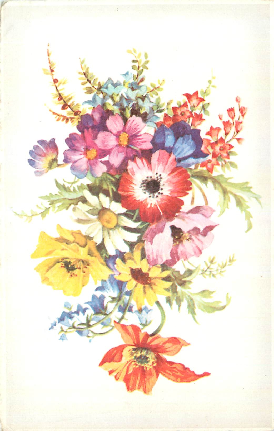 CPA Fleurs