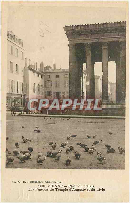 CPA Vienne Place du Palais Les Pigeonde du Temple d'Auguste et de Livie 