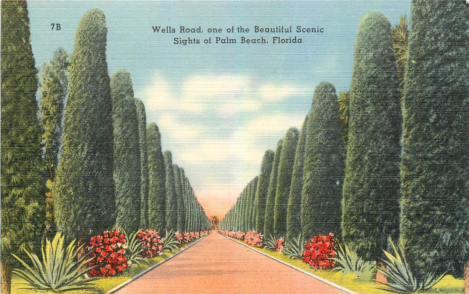 CPA Wells Road one of the Beautiful Scenic Sights of Palm Beach Florida 