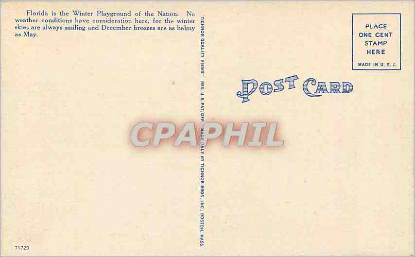 CPA An Avenue of Royal Palms Florida  — Rückseite