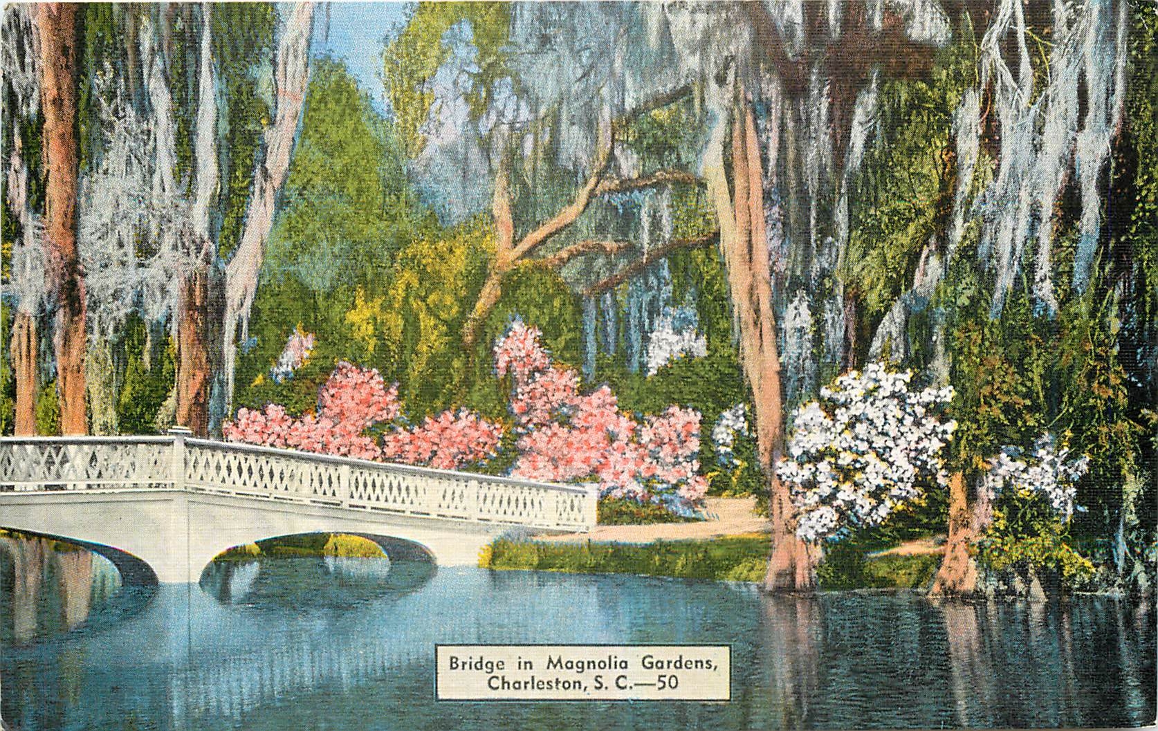 CPA Bridge in Magnolia Gardens Charleston SC 