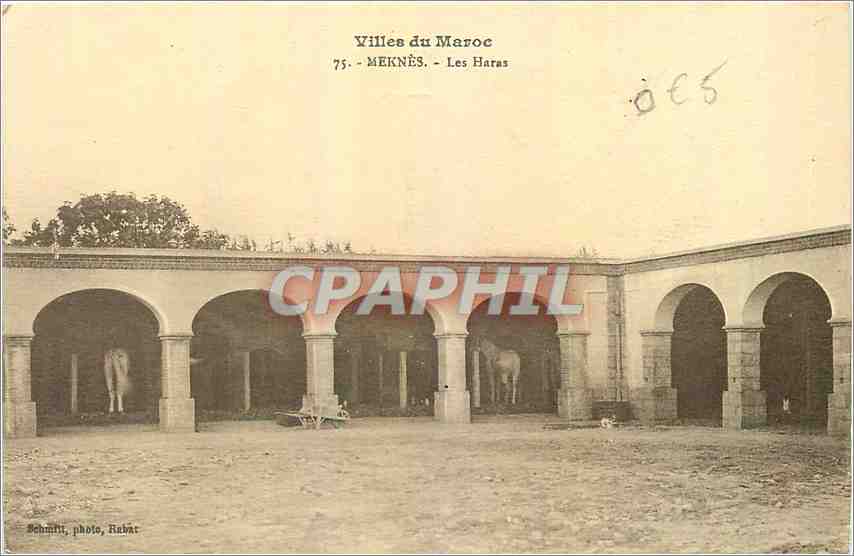 CPA Villes du Maroc Meknes Les Haras 
