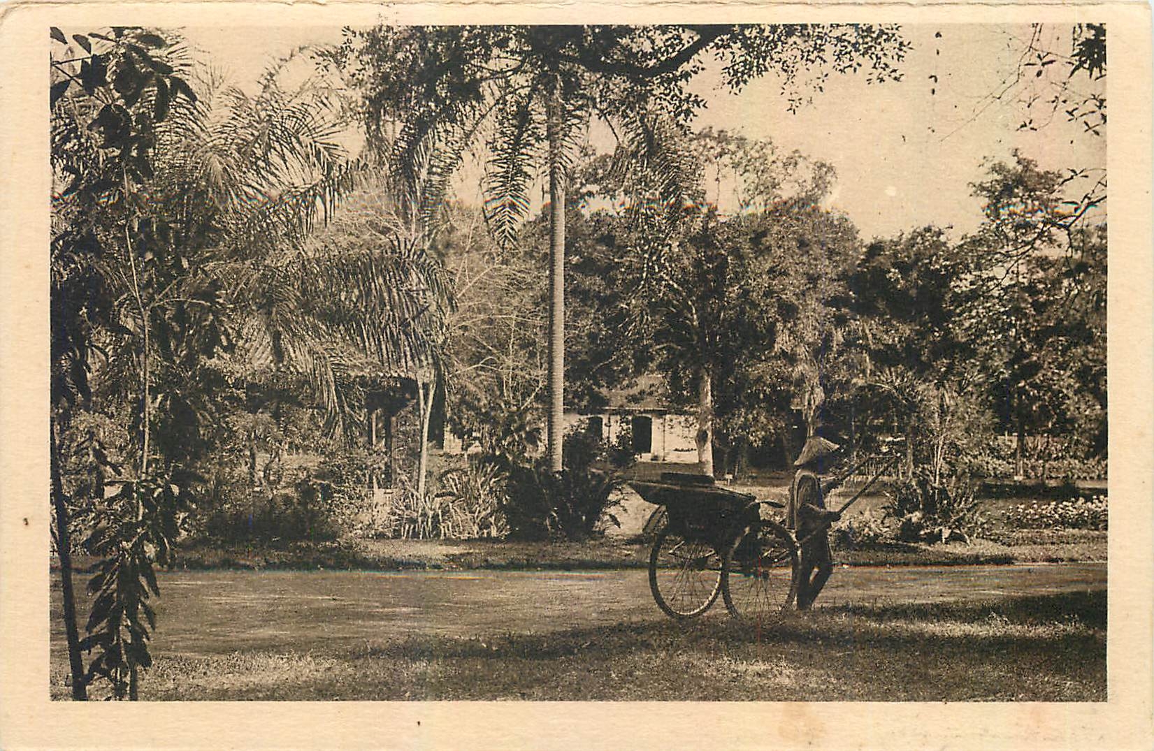 CPA Saigon Un coin du Jardin Botanique 