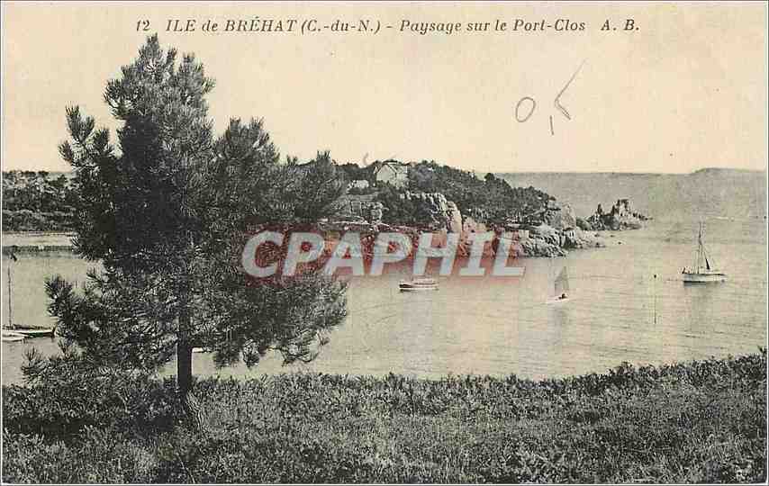 CPA Ile de Brehat C du N Paysage sur le Port Clos 