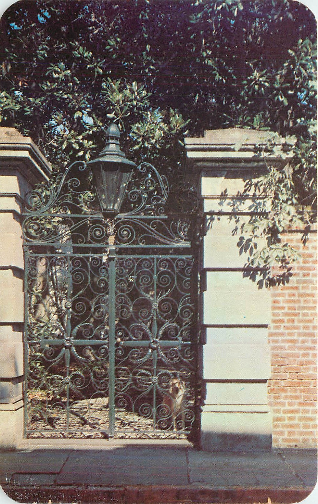 CPA Charlestons Famous Sword Gates Charleston SC 