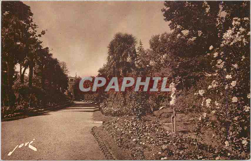 CPA Tarbes HP Les allees fleuris du Jardin Massey et statue de St Christophe a droite 