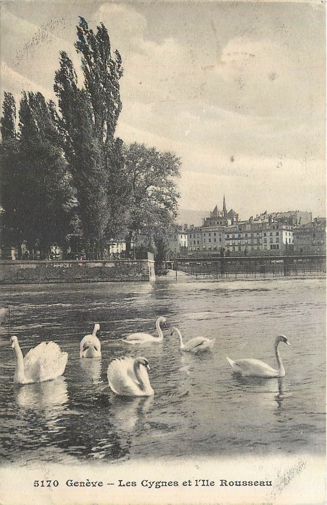 CPA Geneve Les Cygnes et l'lle Rousseau 