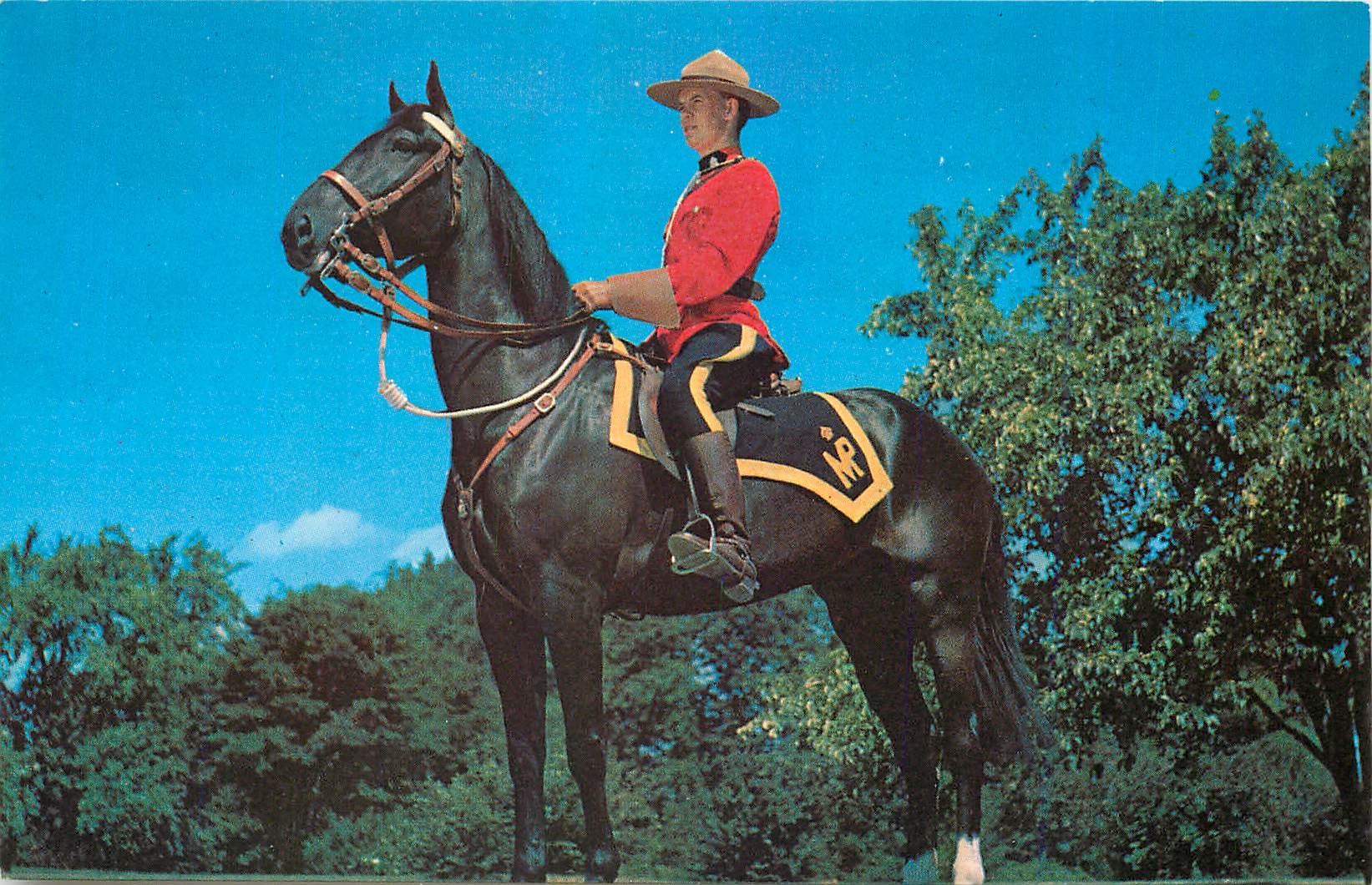CPM Royal Canadian Mounted Police Militaria