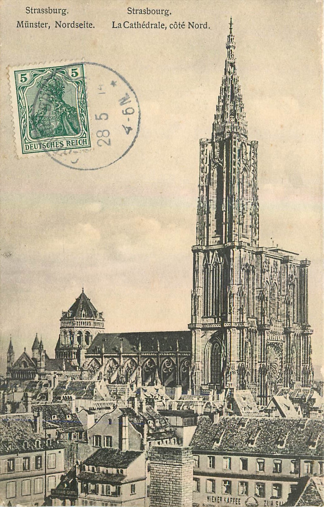 CPA Strasbourg La Cathedrale cote Nord 