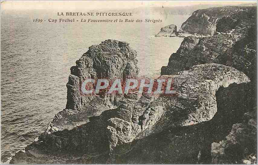 CPA Cap Frehel La Fauconniere et la Baie des Sevignes 