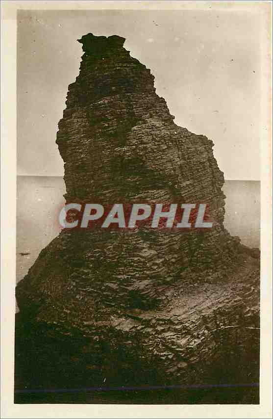 CPA Cap Frehel La Fauconniere cote Ouest 