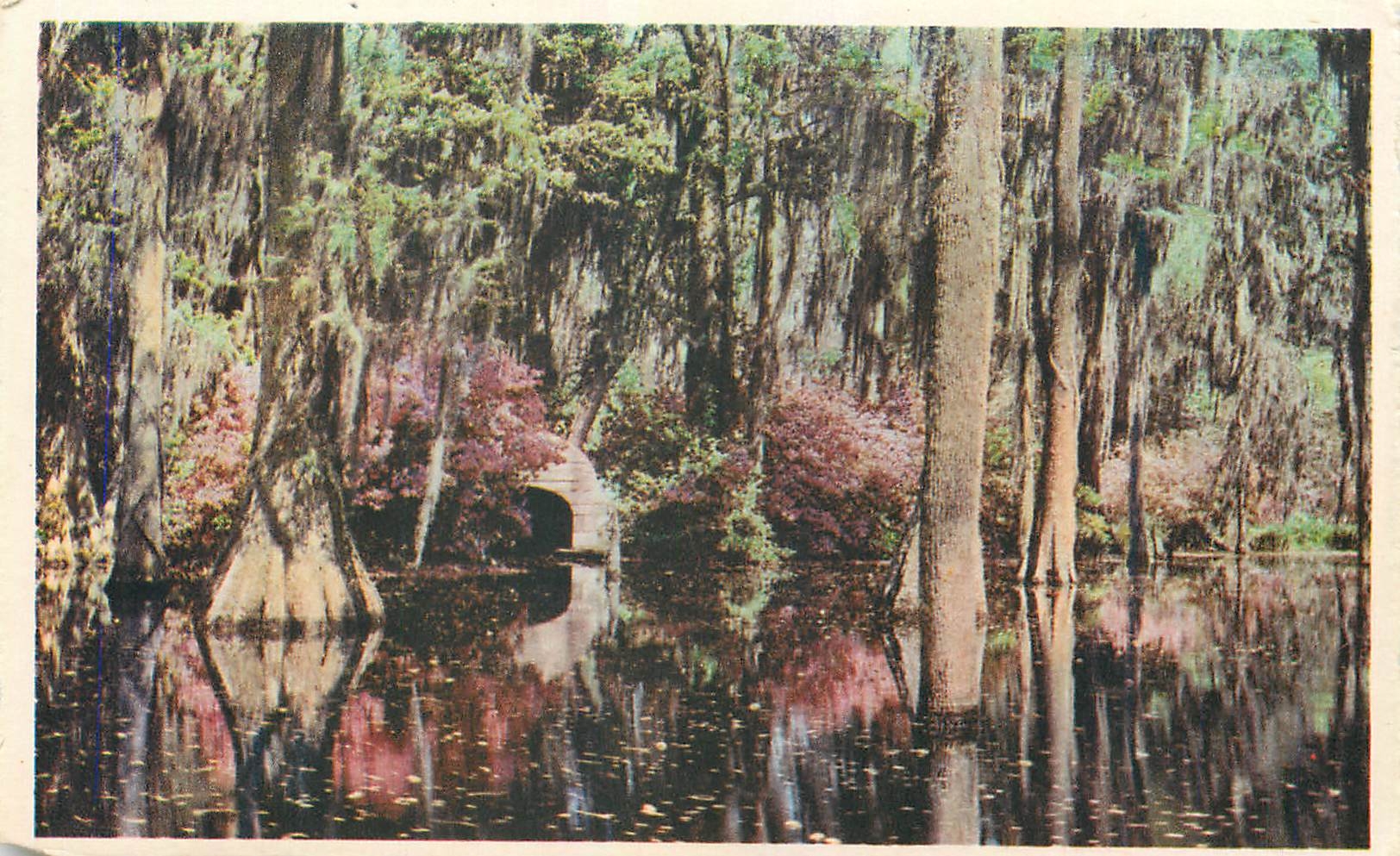 CPA Cypress Gardens Oakley South Carolina 