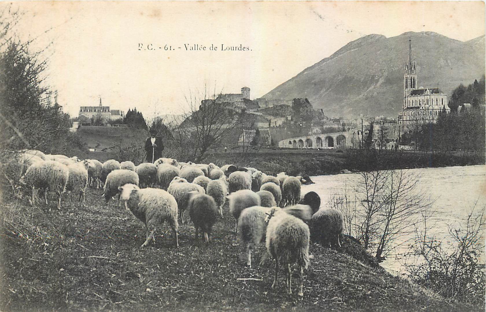 CPA Vallee de Lourdes Berger Moutons