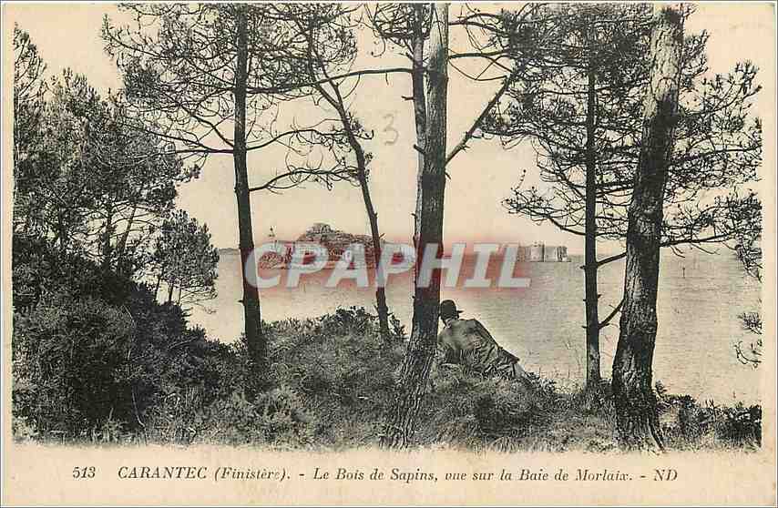 CPA Carantec Finistere Le Bois de Sapins vue sur la Baie de Morlaix 