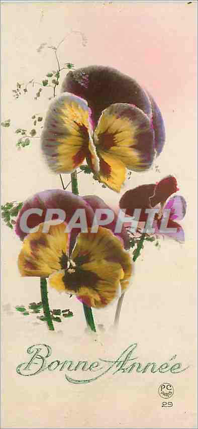 CPA Bonne Annee Fleurs