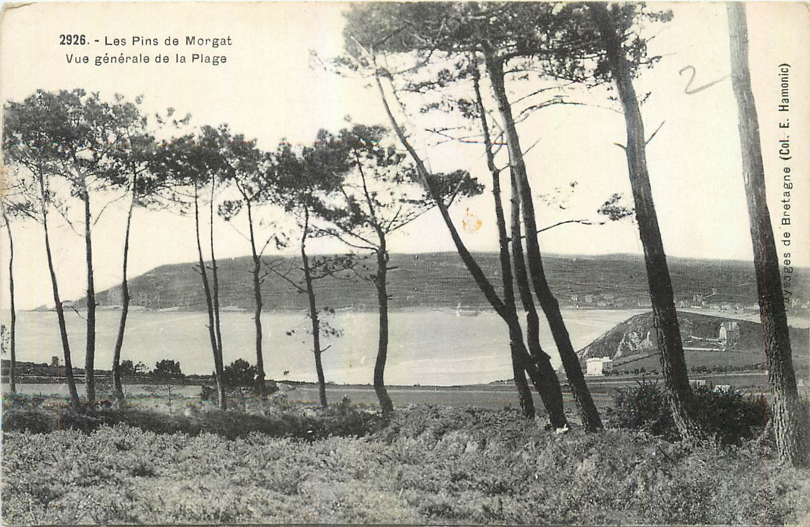 CPA Les Pins de Morgat Vue generale de la Plage 
