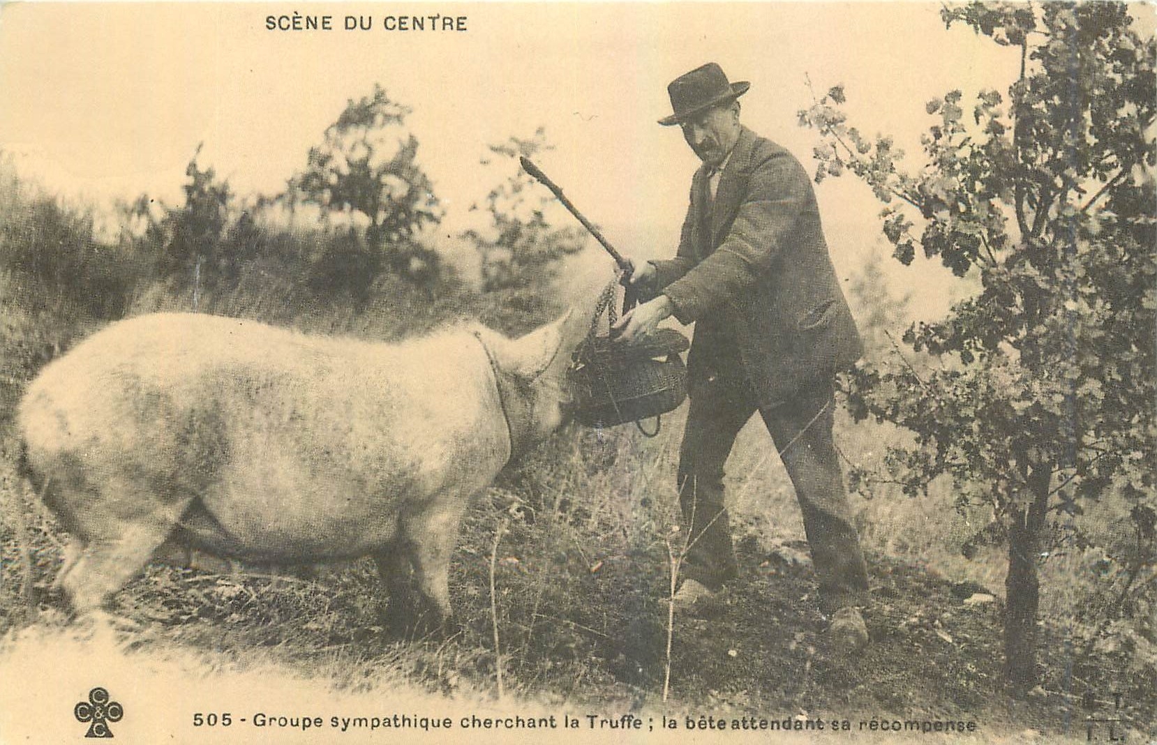 Scène du Centre — Groupe sympathique cherchant la Truffe ; la bête attendant sa récompense — Cécodi BP 49 Les Ulis