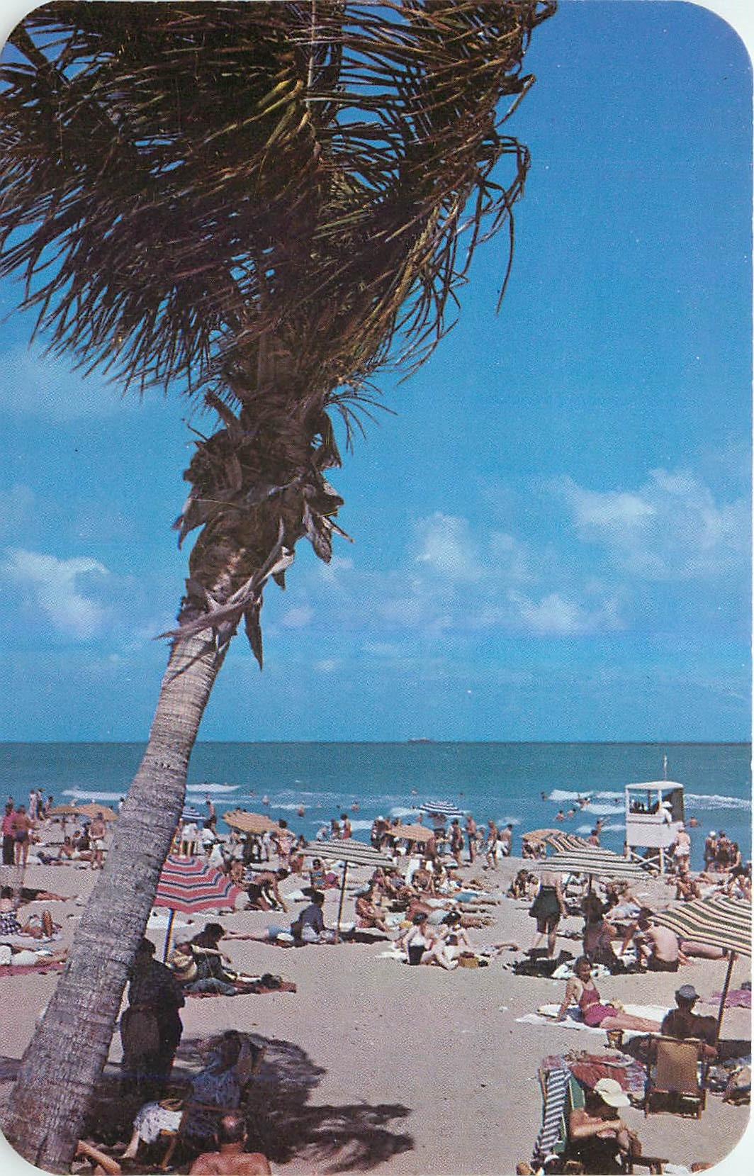 CPA Bathing and Sun Tanning at beautiful Miami Beach Florida 