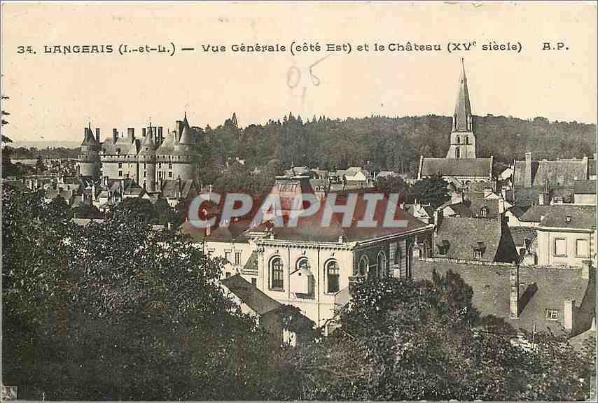 CPA Langeais Vue Generale et le chateau 