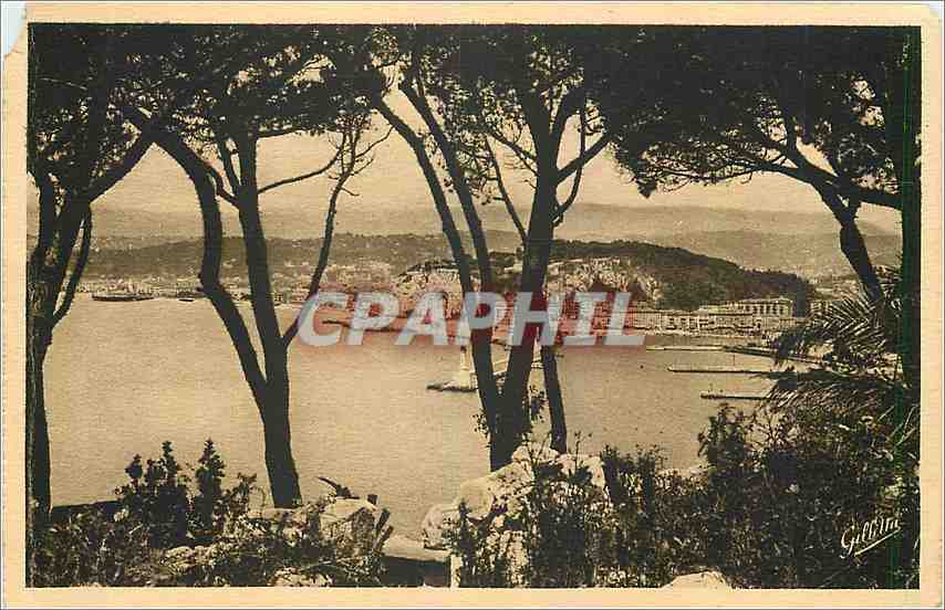 CPA Nice Vue entre les Pins 