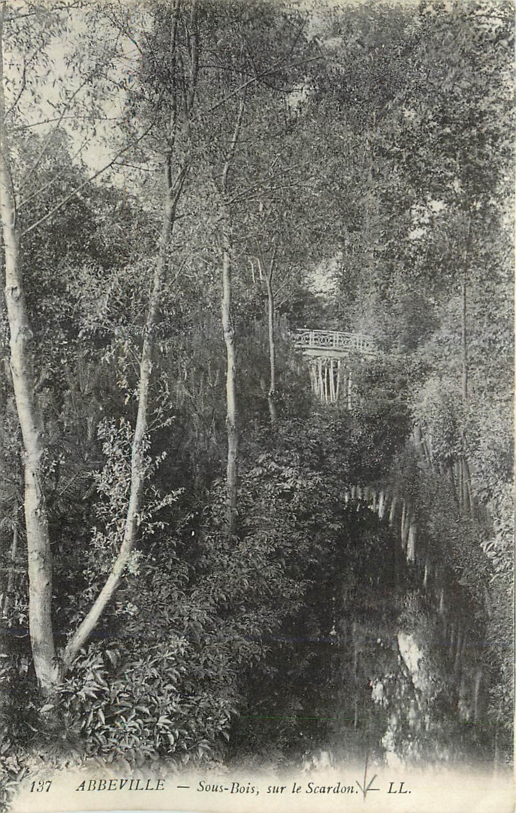CPA Abbeville Sous Bois sur le Scardon 