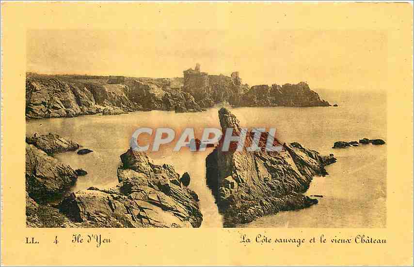 CPA Ile d'Yeu La Cote sauvage et le vieux Chateau 