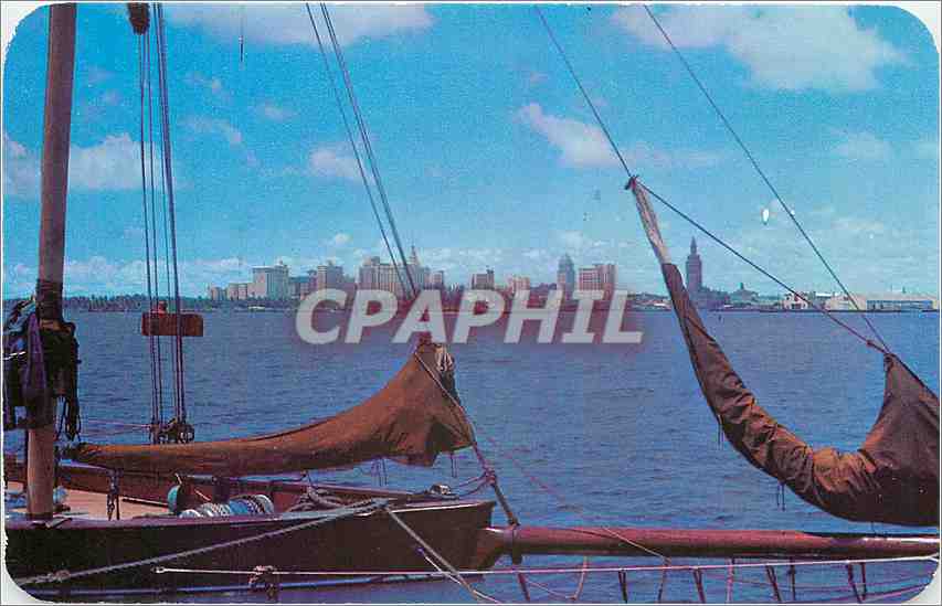 CPA Skyline of Miami Fla 