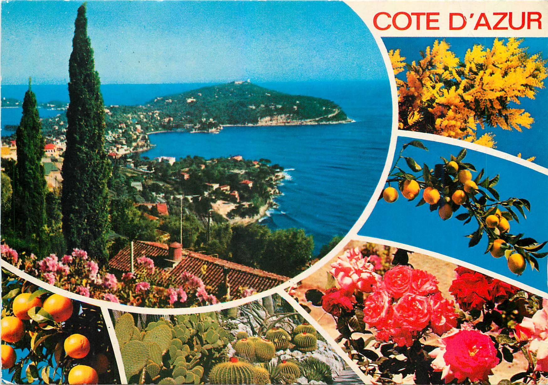 CPM Cote d'Azur French Riviera Vue pittoresque 