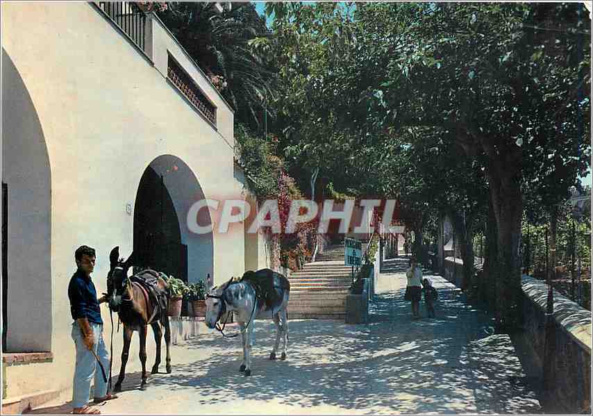 CPM Capri Rue Ctoce 