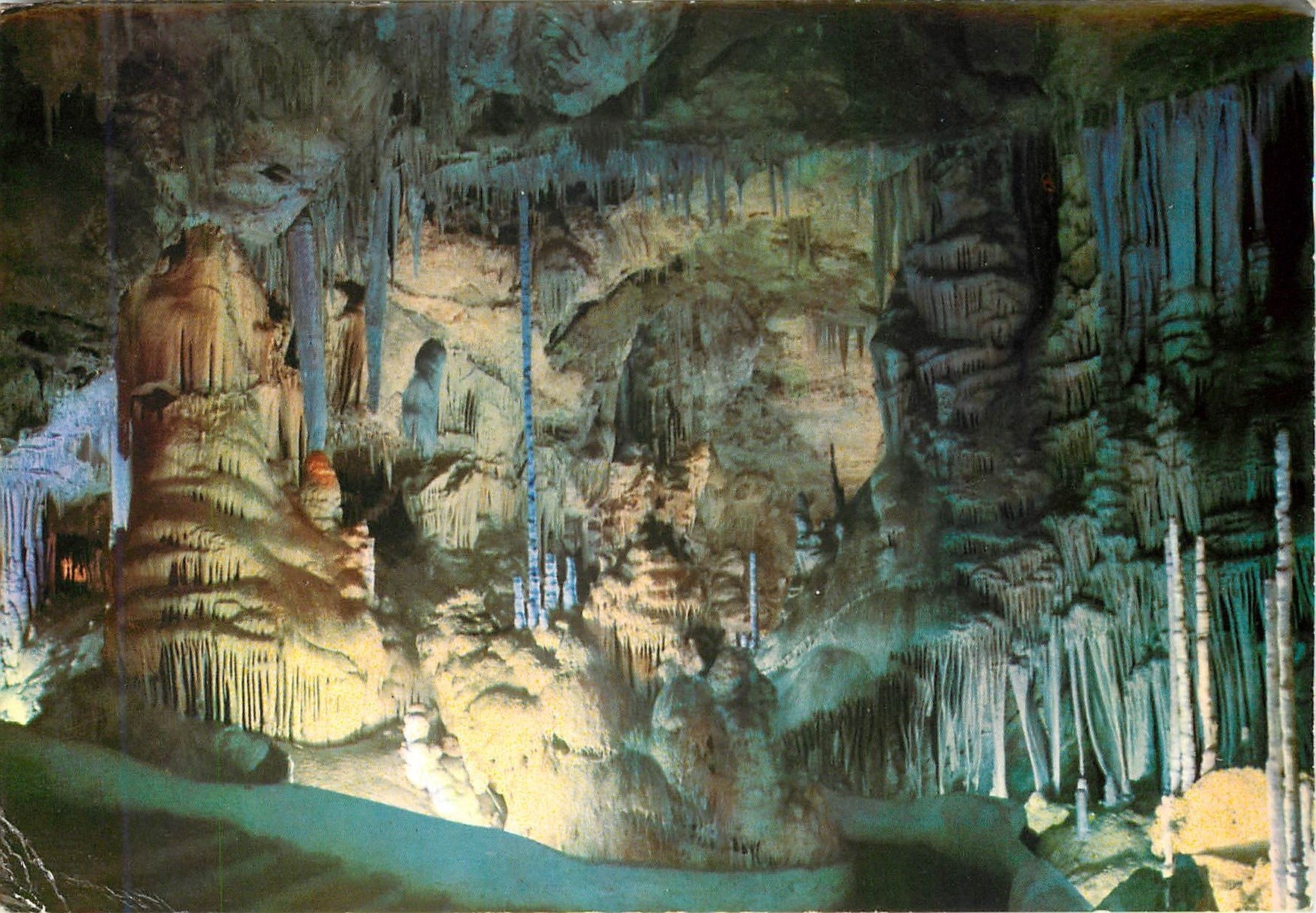CPM Mallorca Cuevas de Campanet Salle du Palmier 