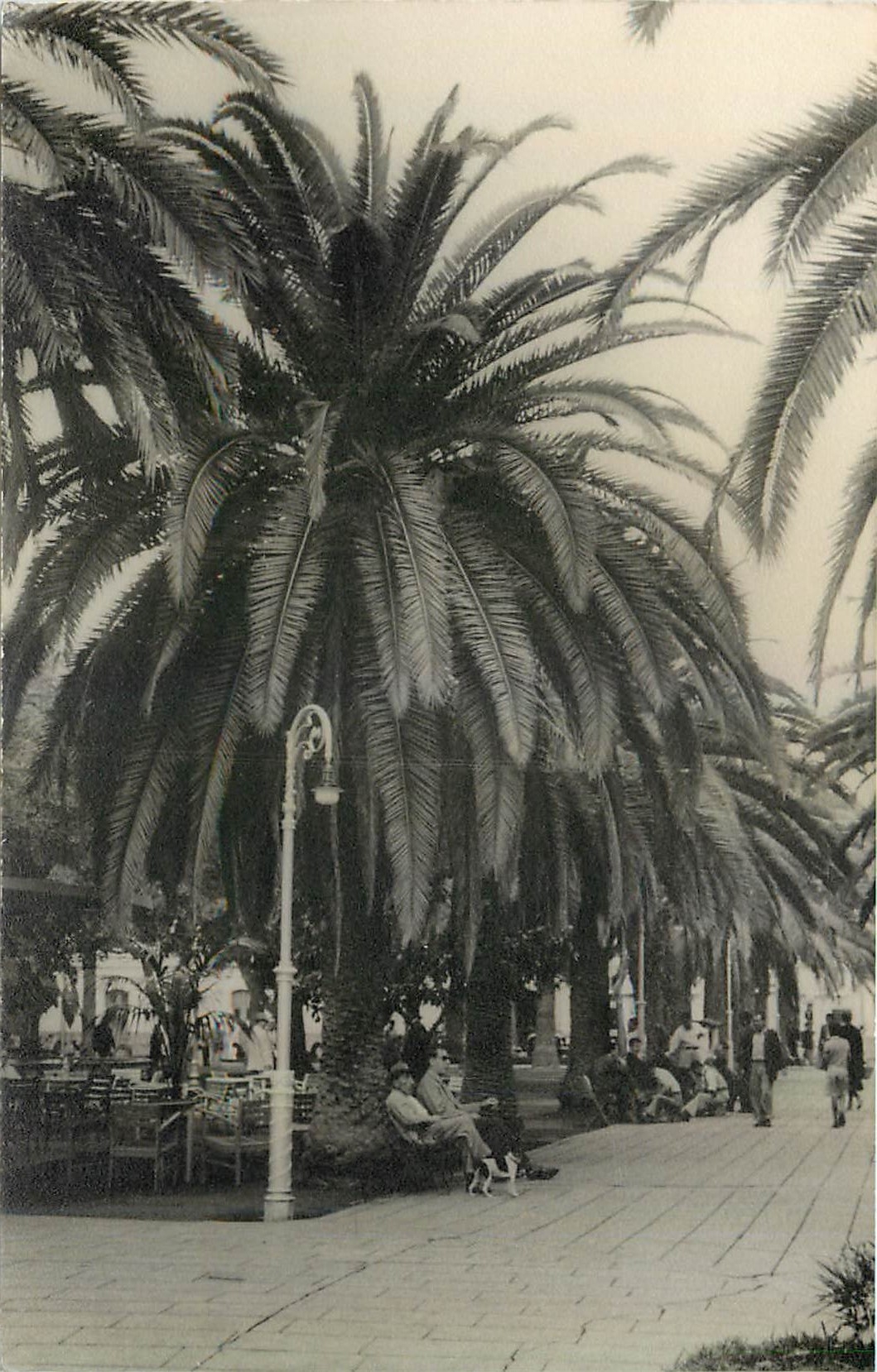 CPM Puerto de la Cruz Tenerife 