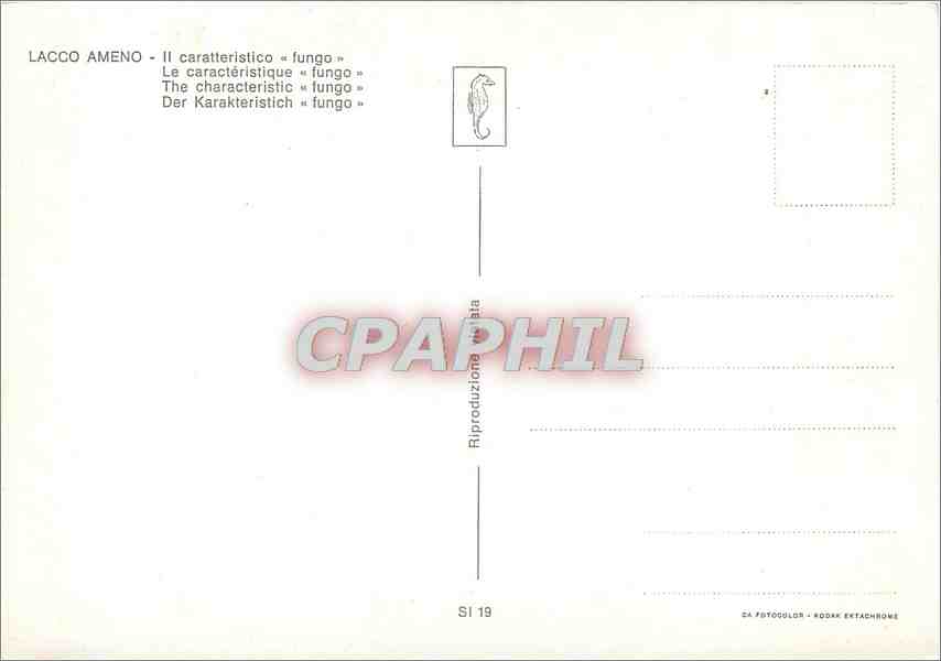 CPM Lacco Ameno Le caracteristique fungo  — Rückseite