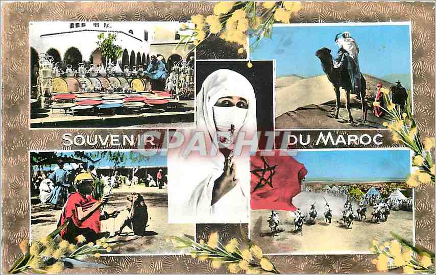 CPM Souvenir du Maroc Chameau Femme Cheval