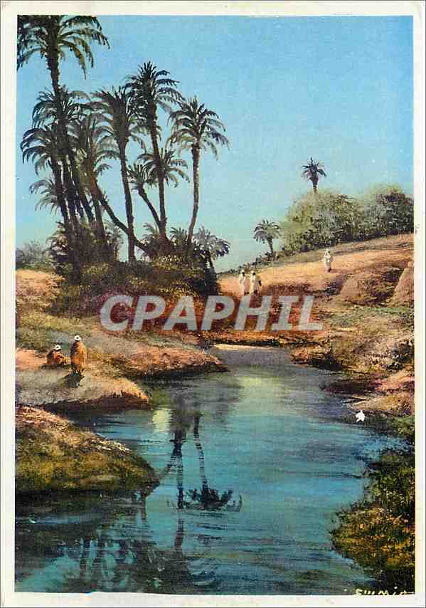 CPM Maroc Marrakech Crepuscule sur la palmeraie