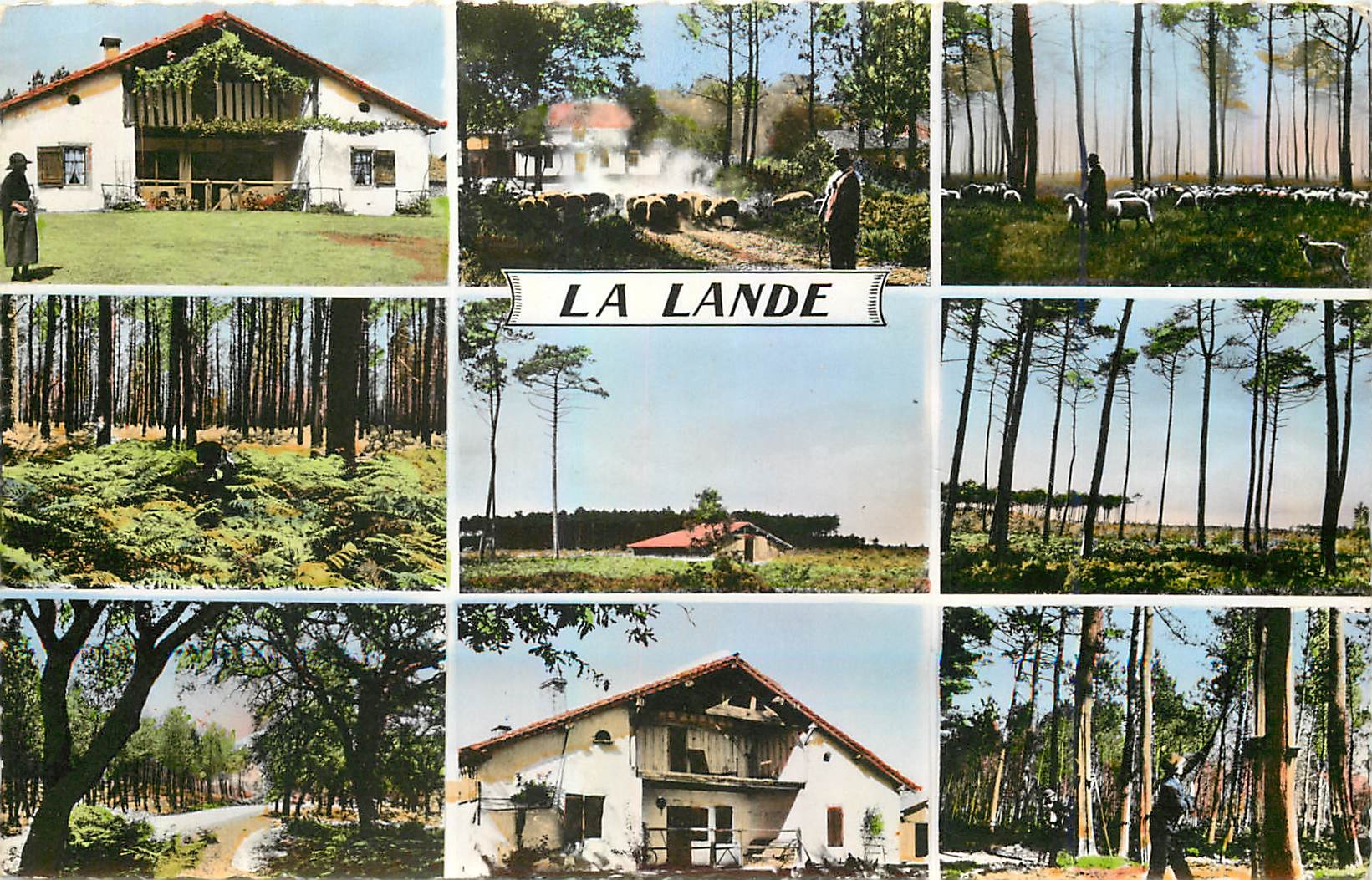 CPM La Lande La Ferme Berger Landais 