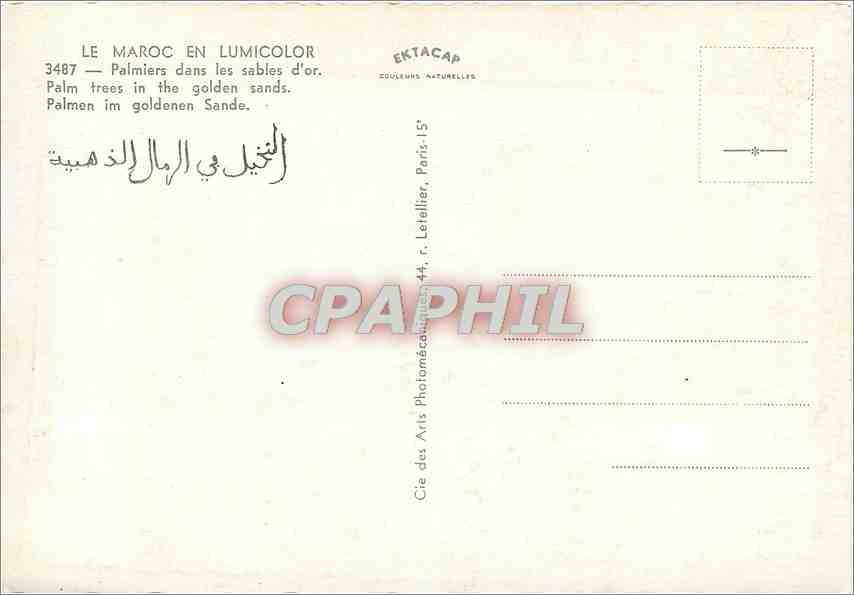 CPM Le Maroc en Lumicolor Palmiers dans les sables d'or  — Rückseite