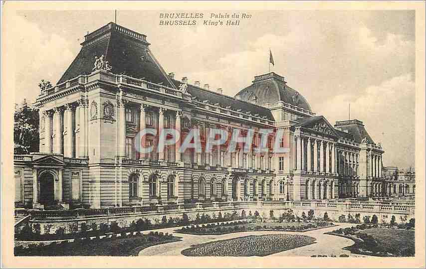 CPA Bruxelles Palais du Roi 