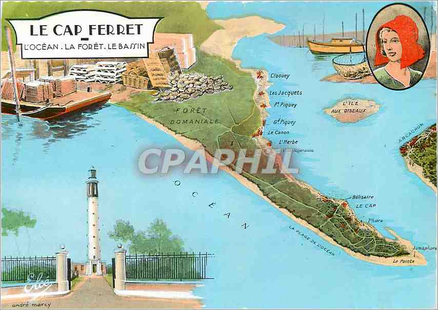 CPM Le Cap Ferret L'Ocean La Foret Le Bassin 