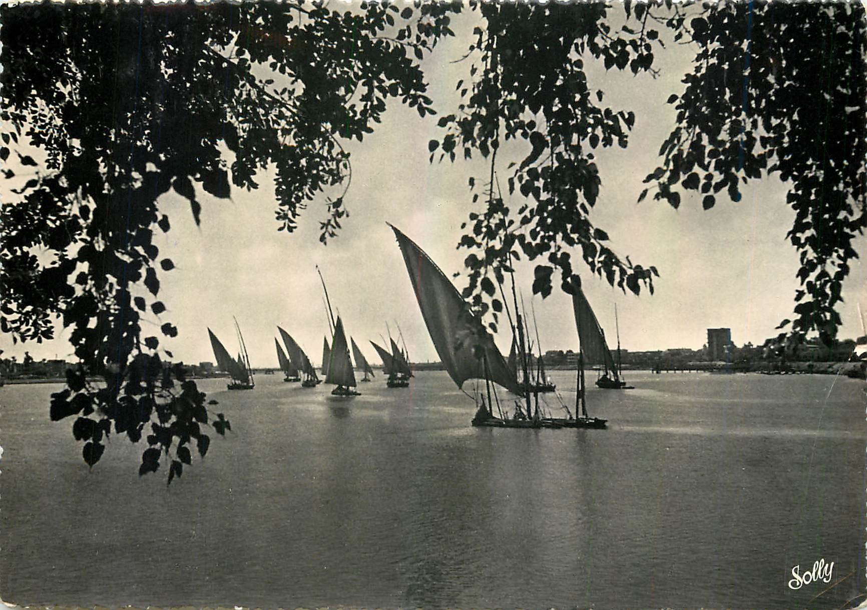 CPM Cairo Nile View 