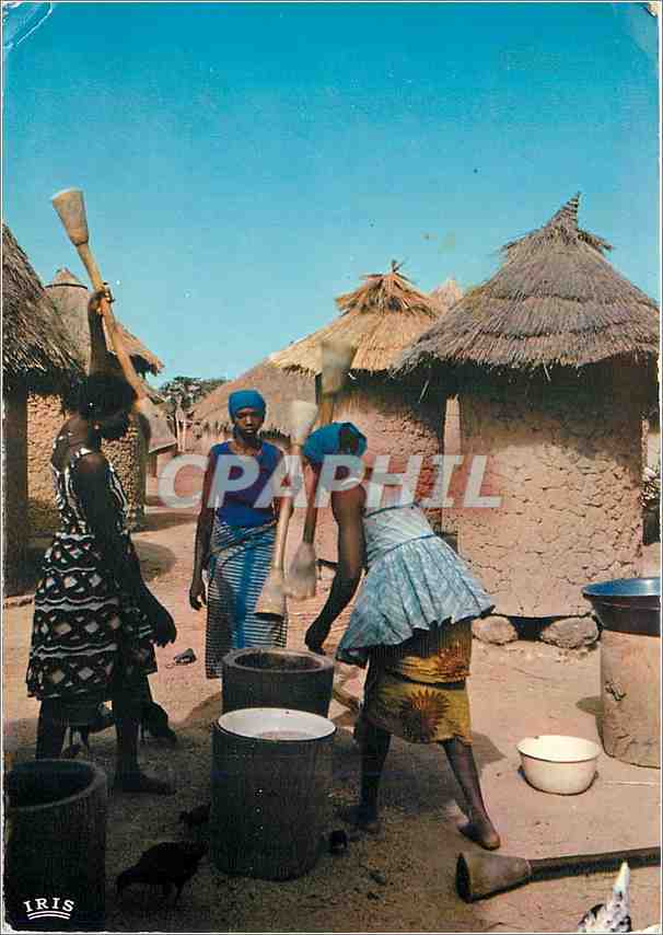 CPM L'Afrique en Couleurs Preparation du repas 