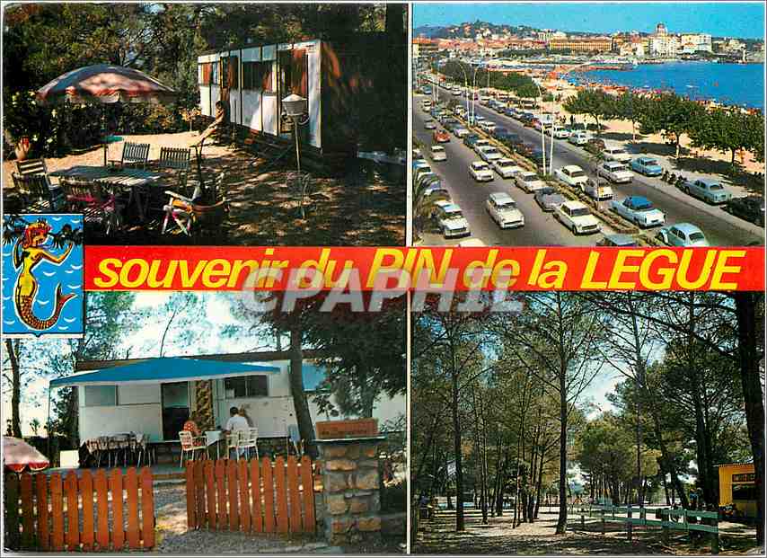 CPM Souvenir du Pin de la Legue Frejus Domaine du pin de la Legue 