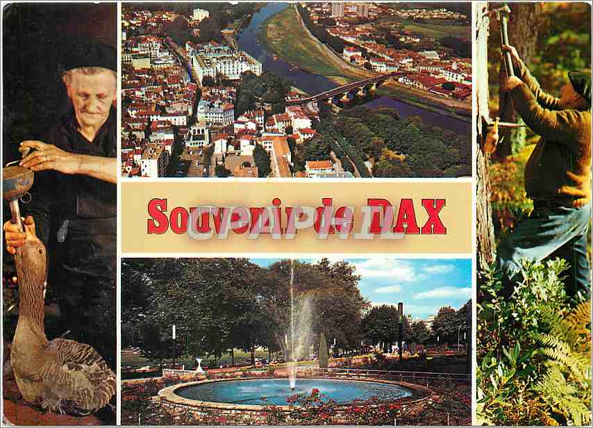 CPM Souvenir de Dax Vue Generale le Pont sur l'Adour Le Jer d'eau du Jardin 