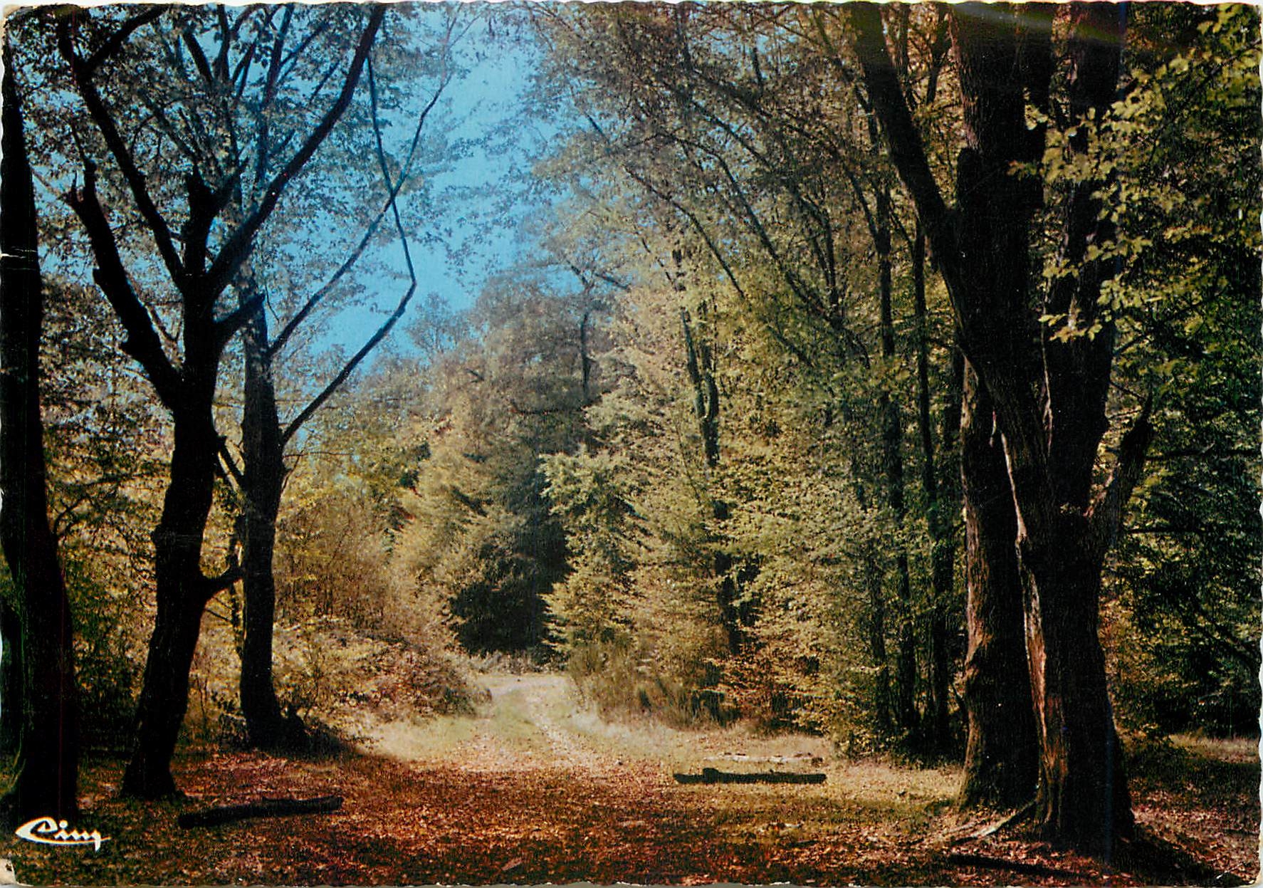 CPM Sous bois a travers le Morvan 