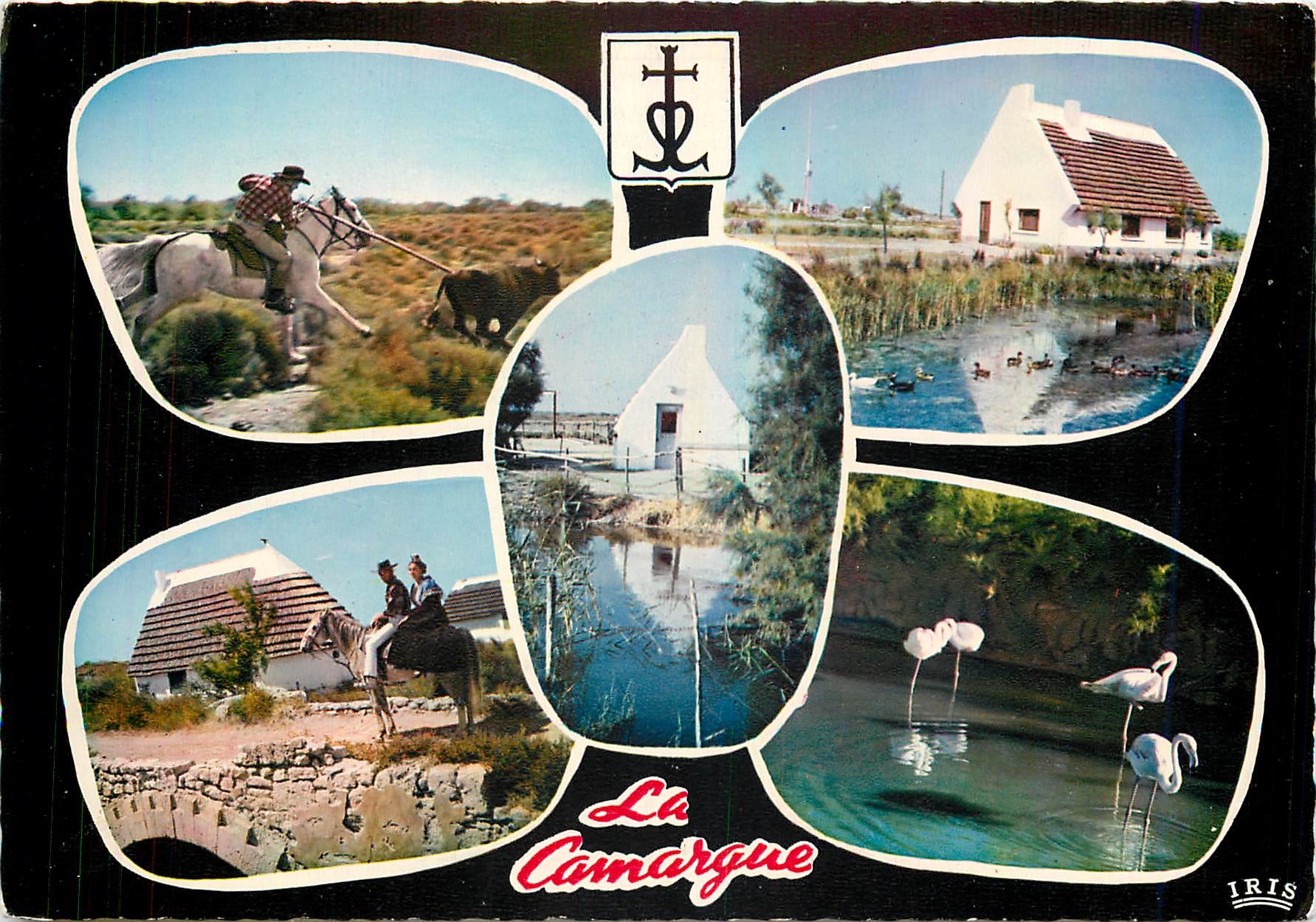 La Camargue — paysage et faune — IRIS