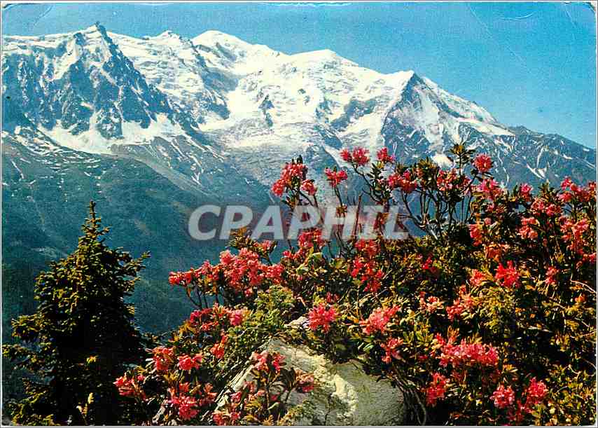 CPM Au Pays du Mont Blanc 