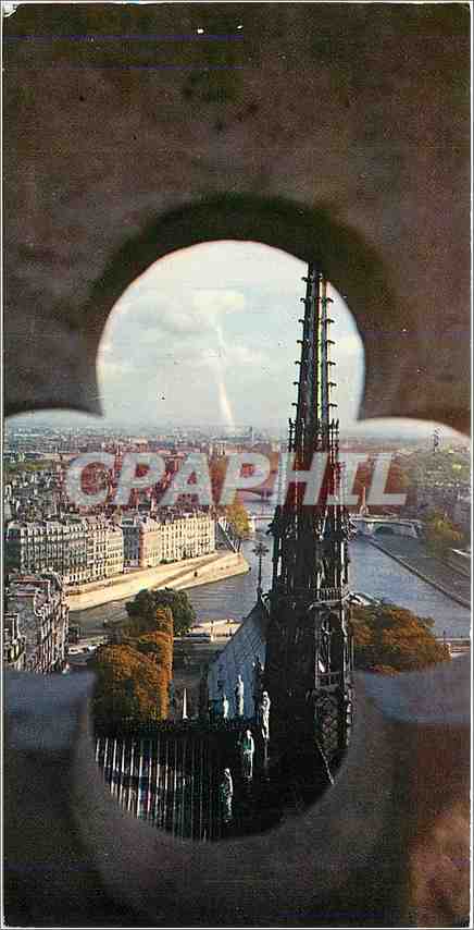 CPM Paris vu des Tours de Notre Dame 