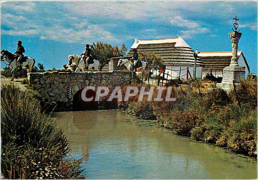 CPM En Camargue B du Rh Pont du Mort cabanes et la Croix des Gardians 